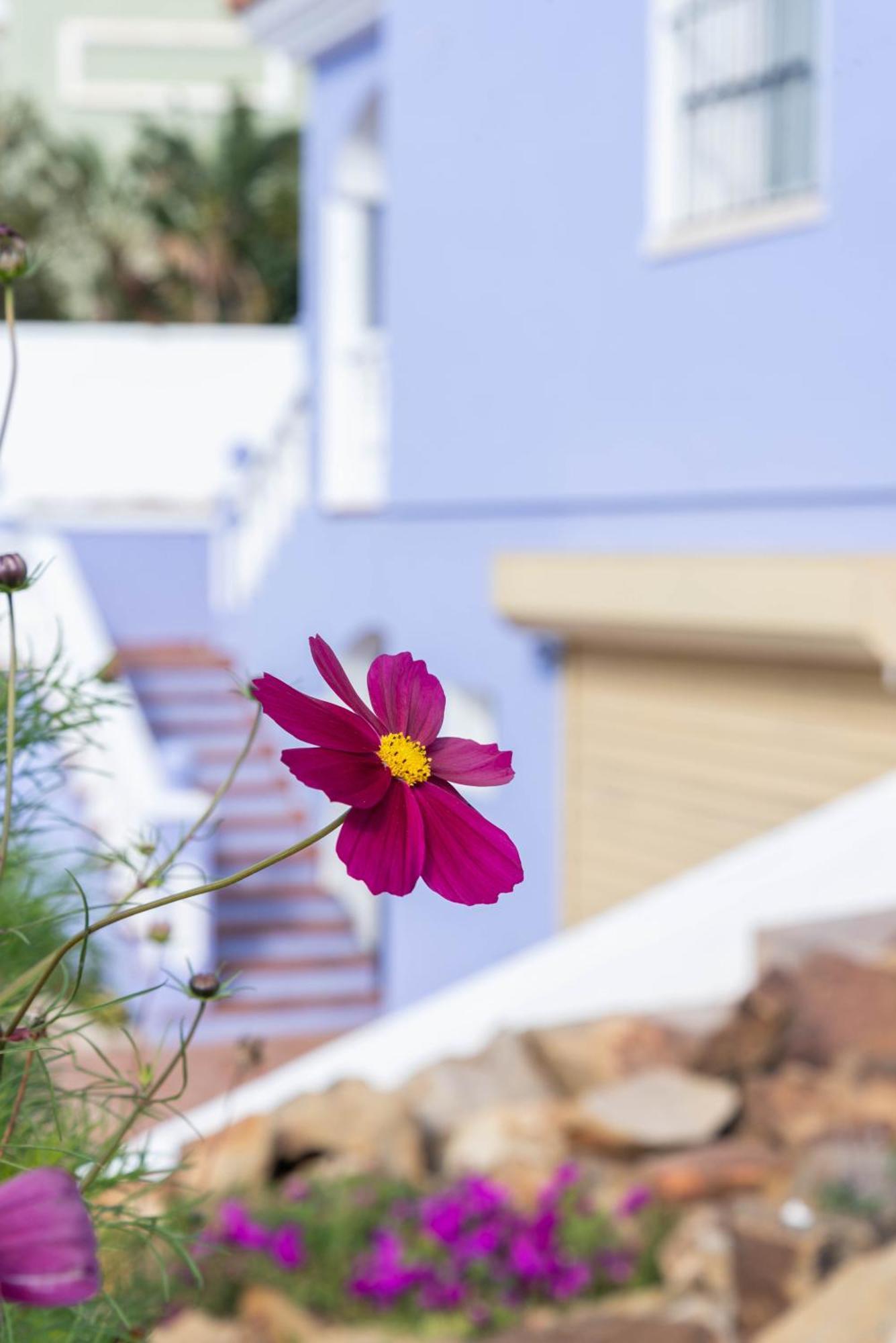 Casa Margarita Hébergement de vacances La Línea de la Concepción
